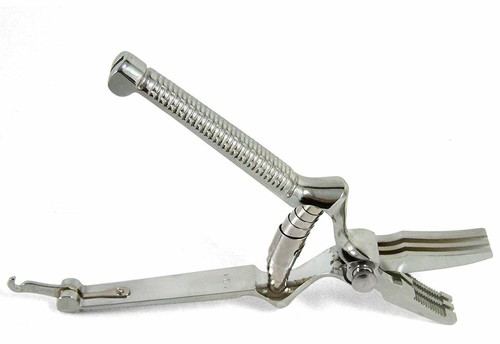 Masticatore per alimenti inox