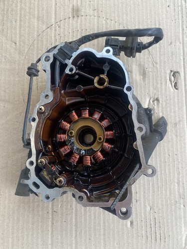 Stator complete with crankcase - stator,