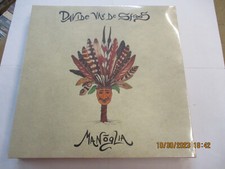 DAVIDE VAN DE SFROOS -