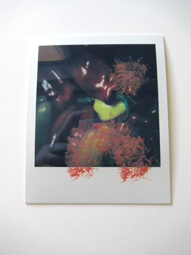 Araki polaroid originale - n.,