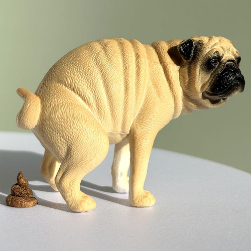 Statua cucciolo carlino - di,