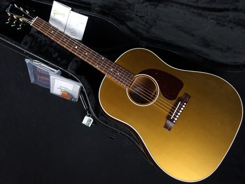 Chitarra elettrica acustica