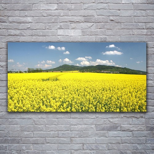 Stampa tela canvas 120x60 - su,