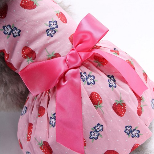 Abbigliamento cane abiti per - abbigliamento,