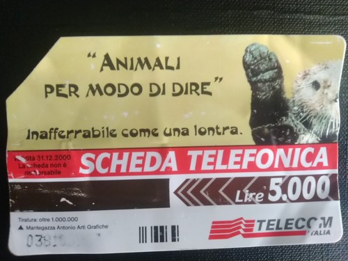 Scheda telefonica collezione - scheda,