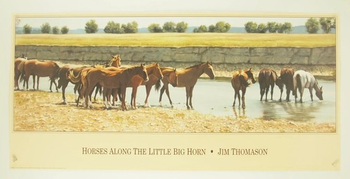 Jim thomason cavalli lungo - jim,