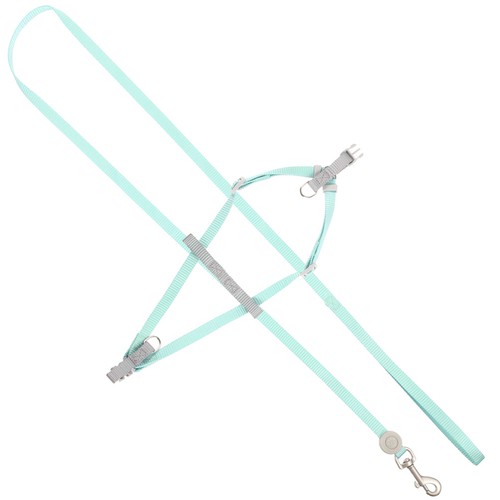Set guinzaglio imbracatura per - imbracatura,