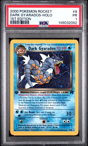 Pokemon rocket 2000 - pokemon,