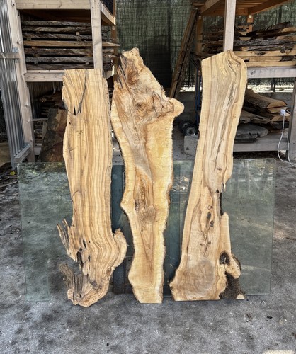 Tavole legno ulivo - legno, 3