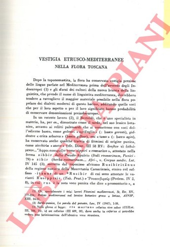 Alessio vestigia - alessio,