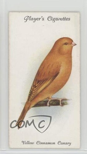 1933 giocatore aviaria - 1933,