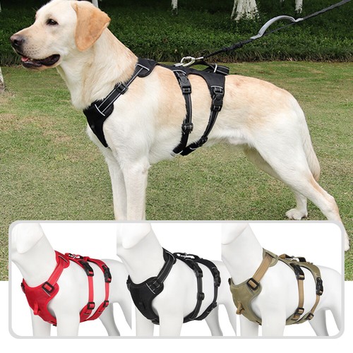 Imbracatura per cani prova - cani,