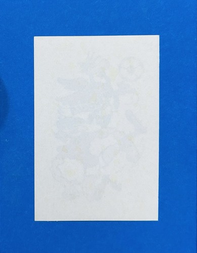 Figurina calciatori panini - calciatori,