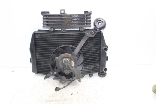 Radiatore triumph speed triple - radiatore,