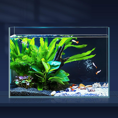 Acquario litri con - acquario,