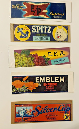 Vintage set etichette - set, di