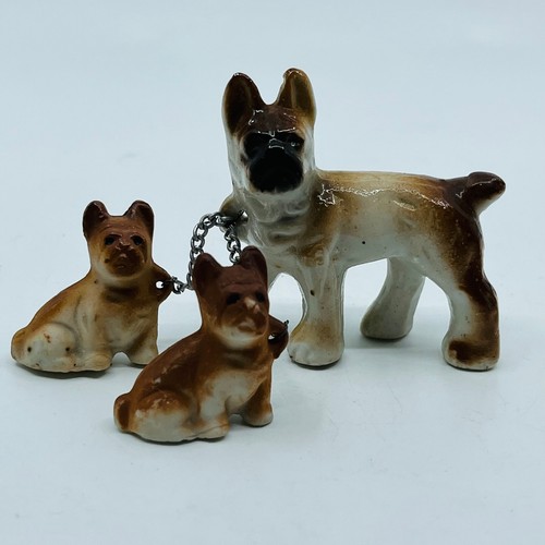 Boxer cane marrone - , vintage