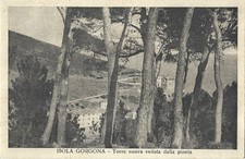 ISOLA DI GORGONA  LIVORNO  TORRE NUOVA VEDUTA DALLA PINETA  1936