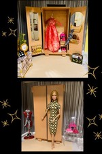 Fashion Doll/poppy parker set