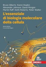 L' essenziale di biologia molecolare della cellula. Con Contenuto digitale (f...
