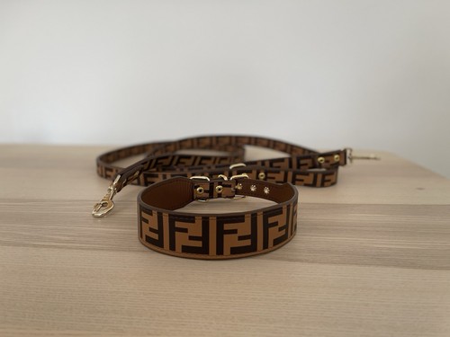 Fendi collare per cani