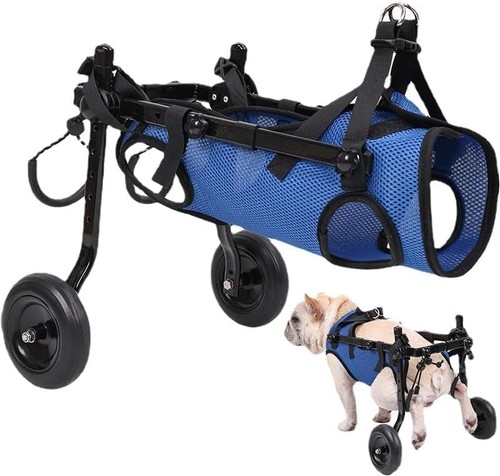 Sedia rotelle per - per, cani