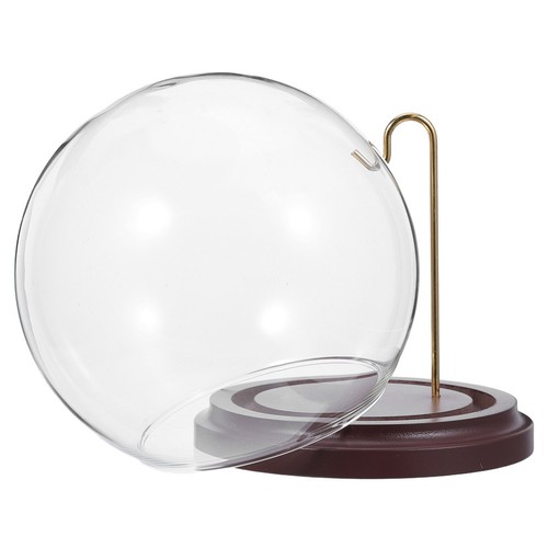 Coperchio del display - coperchio,