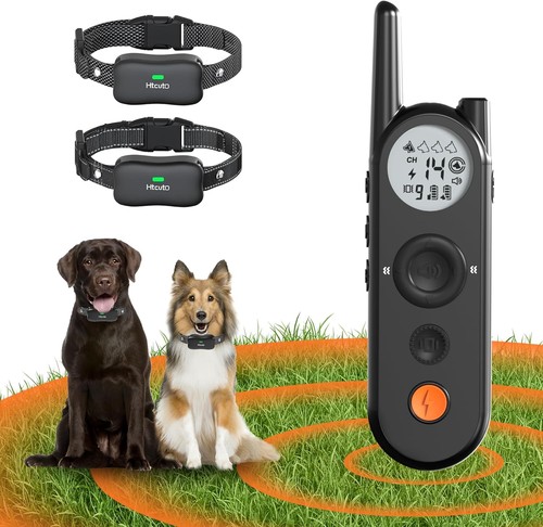Recinzione per cani wireless - cani,