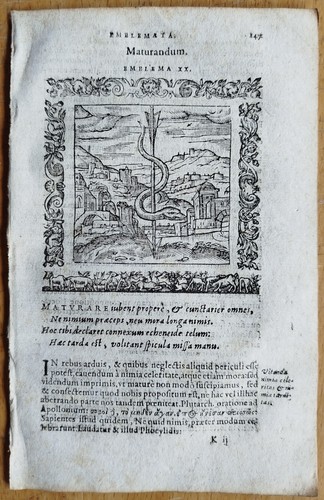 Freccia serpente alciatus - serpente,