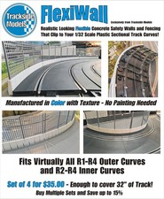 Slot car scala 1/32 binari