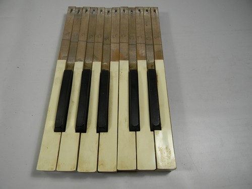 1890 chiavi per - 1890, organo