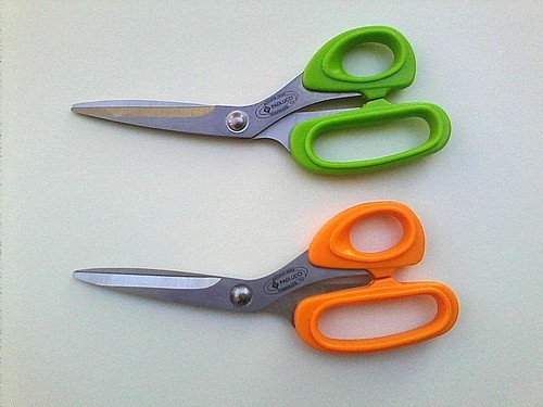 Forbice con lame acciaio - in,