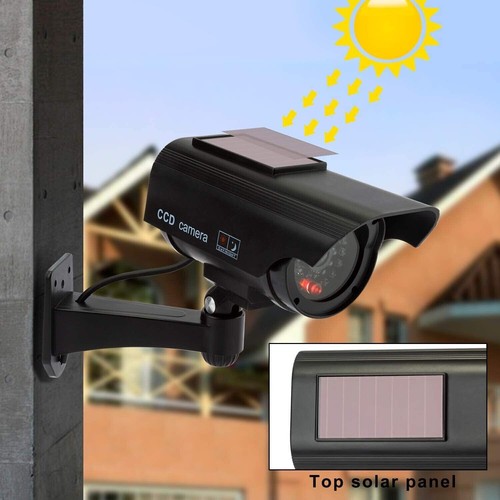 Telecamera falsa energia