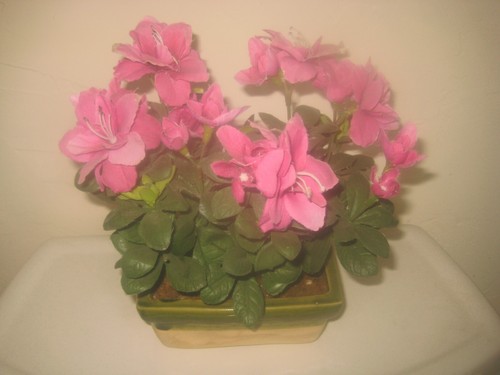 Azalee ceramica fioriera - in,