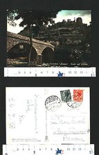 STRADA IN CASENTINO (AR)