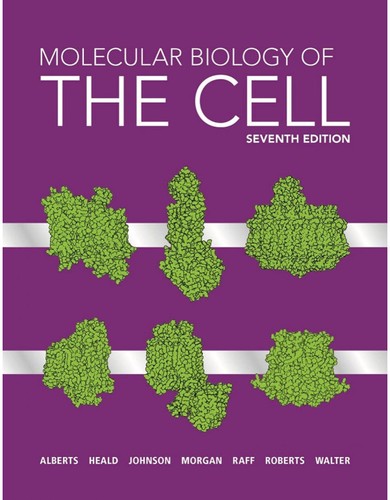 Molecular biology the - molecular, cell