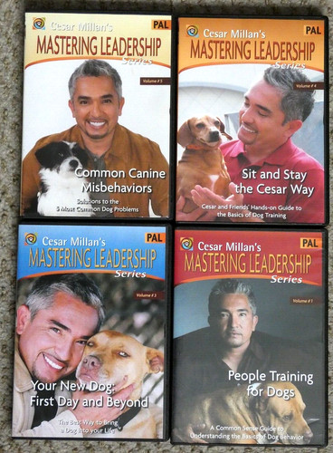 Cesar millan mastering - 4, millan's