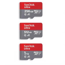 Scheda di memoria SanDisk