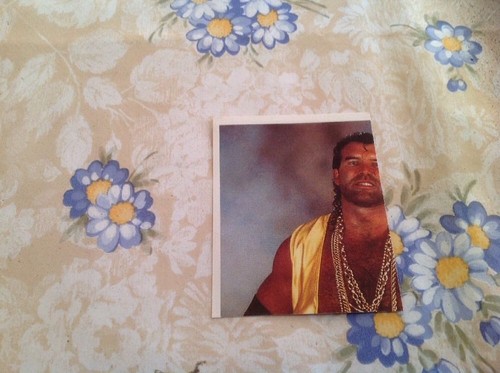 Figurina world wrestling - ,