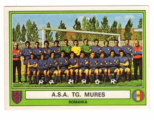 Figurina calciatori panini - figurina,