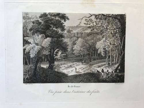 Voyage pittoresque ile - voyage, l'