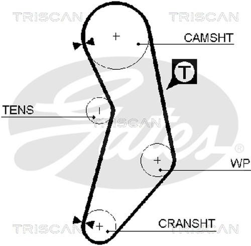 Cinghia distribuzione triscan - distribuzione,