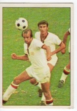 figurina CALCIATORI PANINI