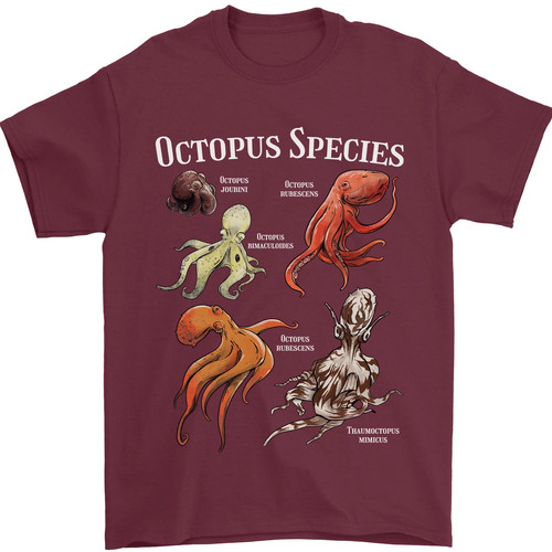 Octopus specie immersioni - octopus,