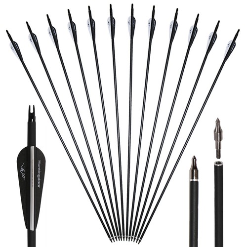 12x frecce carbonio 30 - in,