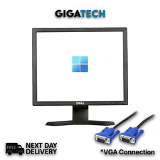 Dell 19" monitor computer