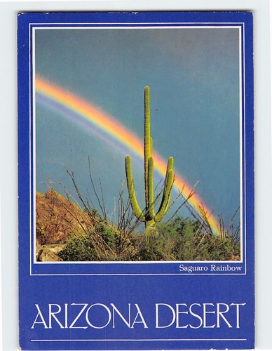 Cartolina saguaro arcobaleno - cartolina,