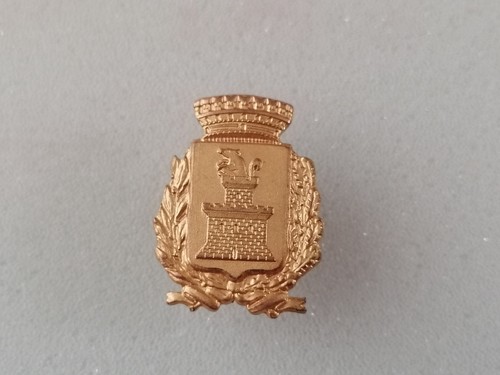 Distintivo pins spilla badge - distintivo,