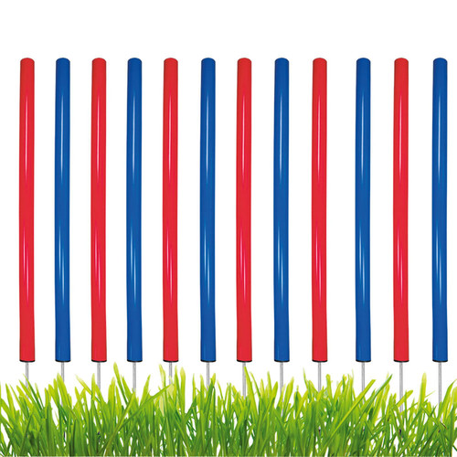 Agility aste slalom - agility,