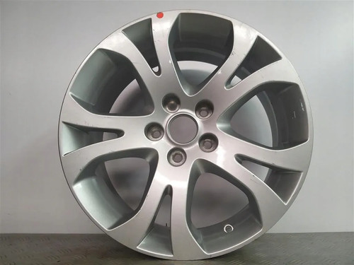 Cerchio lega 17 pollici - 1x, in